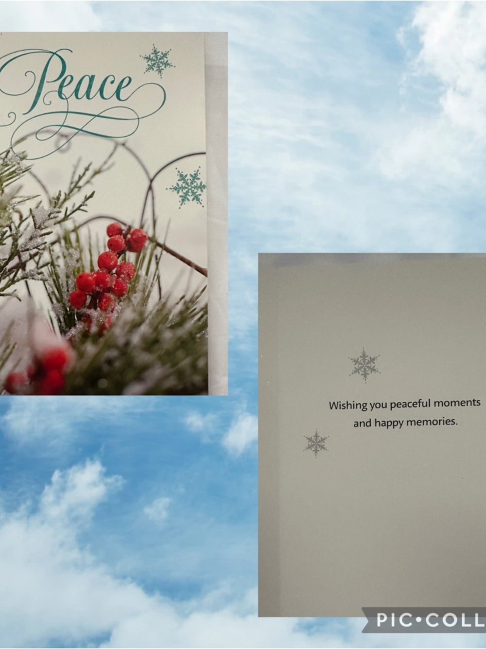 16 Ct Holiday Cards & Envelopes Set Joy, Noel, Hope, Peace Designs - Picture 6 of 8